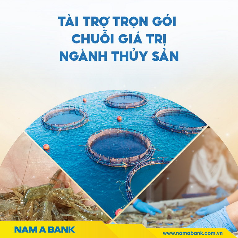 Đặc điểm sản phẩm