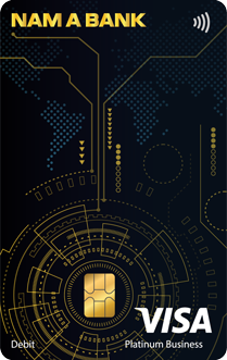 VISA PLATINUM BIZCARD